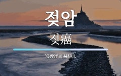 젖암 뜻: ‘유방암’의 북한어.