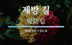 제방 길 뜻: 제방을 따라 나 있는 길.