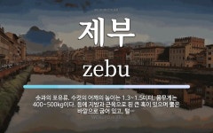 제부 뜻: 솟과의 포유류. 수컷의 어깨의 높이는 1.3~1.5미터... 제부 뜻: 솟과의 포유류. 수컷의 어깨의 높이는 1.3~1.5미터, 몸무게는 400... 