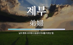 제부 뜻: 남자 형제 사이에서 동생의 아내를 이르는 말.