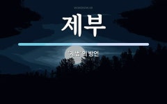 제부 뜻: ‘제법’의 방언