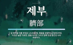제부 뜻: 앞 배벽을 아홉 부위로 나누었을 때, 배꼽을 포함하는 가운데... 이것은 날문 가로면, 제부 뜻: 앞 배벽을 아홉 부위로 나누었을 때, 배꼽을... 