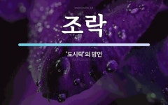 조락 뜻: ‘도시락’의 방언