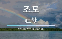 조모 뜻: 아버지의 어머니를 이르는 말.