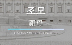 조모 뜻: 부모의 어머니와 한 항렬에 있는 여자를 통틀어 이르는 말.