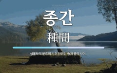 종간 뜻: 생물학적 분류의 기초 단위인 종과 종의 사이.