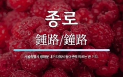 종로 뜻: 서울특별시 광화문 네거리에서 동대문에 이르는 큰 거리.