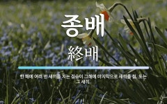 종배 뜻: 한 해에 여러 번 새끼를 치는 짐승이 그해에 마지막으로 새끼를 침. 또는 그 새끼.