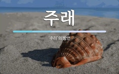 주래 뜻: ‘주리’의 방언