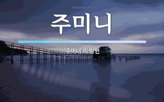 주미니 뜻: ‘주머니’의 방언