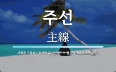 주선 뜻: 사업을 조직하고 집행할 때 기본적으로 끌고 나가야 할 주된 측면.
