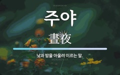 주야 뜻: 낮과 밤을 아울러 이르는 말.