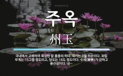 주옥 뜻: 국내에서 교배하여 육성한 밤 품종의 하나. 숙기는 9월 하순이다. 과립 무게는 15그램 정