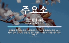 주요소 뜻: 생물체를 구성하는 원소 가운데 비교적 다량으로 존재하는 원소. 수소, 탄소, 질소, 산소,