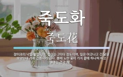 죽도화 뜻: 장미과의 낙엽 활엽 관목. 높이는 2미터 정도이며, 잎은 어긋나고 긴 달걀 모양인데 가에 죽도화 뜻: 장미과의 낙엽 활엽 관목. 높이는... 