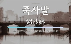 죽사발 뜻: 매우 얻어맞거나 심하게 욕을 들은 상태를 속되게 이르는 말.