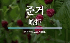 준거 뜻: 엄정한 태도로 거절함.