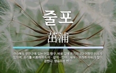 줄포 뜻: 전라북도 부안군에 있는 어업 항구. 바로 앞에 조기의 3대 어항인 위도가 있으며, 조기를 줄포 뜻: 전라북도 부안군에 있는 어업 항구.... 