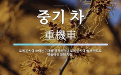 중기 차 뜻: 토목 공사에 쓰이는 기계를 장착하거나 토목 공사에 쓸 목적으로 만들어진 대형 차량.