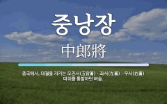 중낭장 뜻: 중국에서, 대궐을 지키는 오관서(五官署)ㆍ좌서(左署)ㆍ우서(右署) 따위를 통할하던 벼슬.