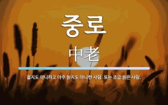 중로 뜻: 젊지도 아니하고 아주 늙지도 아니한 사람. 또는 조금 늙은 사람.