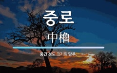 중로 뜻: 중간 정도 크기의 망루.