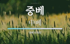 중베 뜻: ‘중배’의 방언