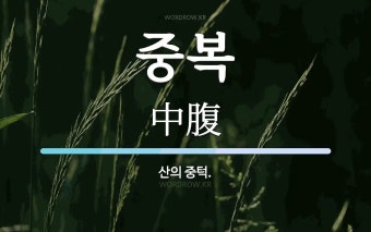 중복 뜻: 산의 중턱.