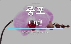 중포 뜻: 구경(口徑) 105~155mm의 야포.