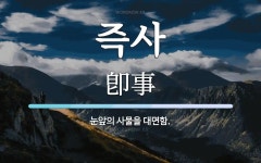 즉사 뜻: 눈앞의 사물을 대면함.