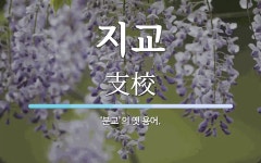 지교 뜻: ‘분교’의 옛 용어.