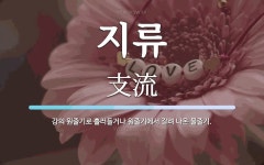 지류 뜻: 강의 원줄기로 흘러들거나 원줄기에서 갈려 나온 물줄기.