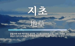 전초를 약용하며 온중, 산한, 구풍에 효능이 있어 토역, 지초 뜻... 속한 백리향의 생약명. 전초를 약용하며 온중, 산한, 구풍에 효능이 있어 토역, 