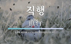 직행 뜻: 도중에 정류장에 서지 아니하고 목적지까지 가는 버스.