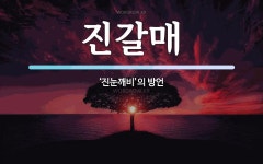 진갈매 뜻: ‘진눈깨비’의 방언
