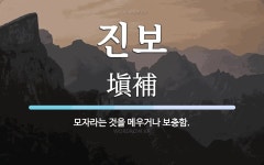 진보 뜻: 모자라는 것을 메우거나 보충함.
