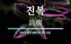 진복 뜻: 복부의 병상(病狀)에 대한 진찰.