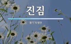 진짐 뜻: ‘종기’의 방언
