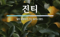 진티 뜻: 일이 잘못되어 가는 빌미나 원인.