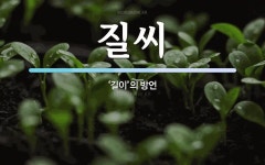 질씨 뜻: ‘길이’의 방언