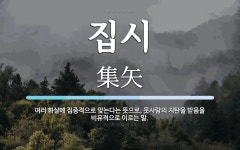 집시 뜻: 여러 화살에 집중적으로 맞는다는 뜻으로, 뭇사람의 지탄을 받음을 비유적으로 이르는 말.