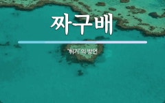 짜구배 뜻: ‘튀기’의 방언