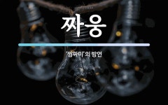 짜웅 뜻: ‘짬짜미’의 방언