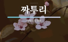 짜투리 뜻: ‘자투리’의 방언