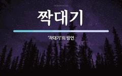 짝대기 뜻: ‘작대기’의 방언