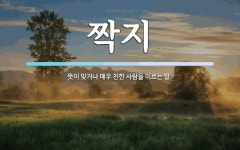 짝지 뜻: 뜻이 맞거나 매우 친한 사람을 이르는 말.