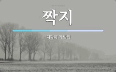 짝지 뜻: ‘지팡이’의 방언