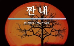 짠 내 뜻: 짠 것에서 느껴지는 냄새.