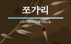 쪼가리 뜻: 그것이 아주 하찮음을 이르는 말.