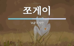 쪼게이 뜻: ‘조금’의 방언